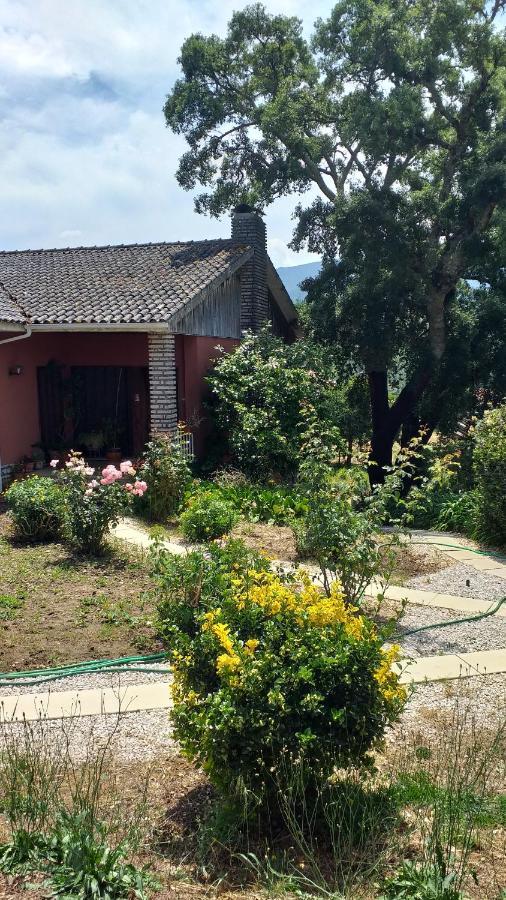 Apartament Vivenda Do Sobreiro Al Serpins Zewnętrze zdjęcie