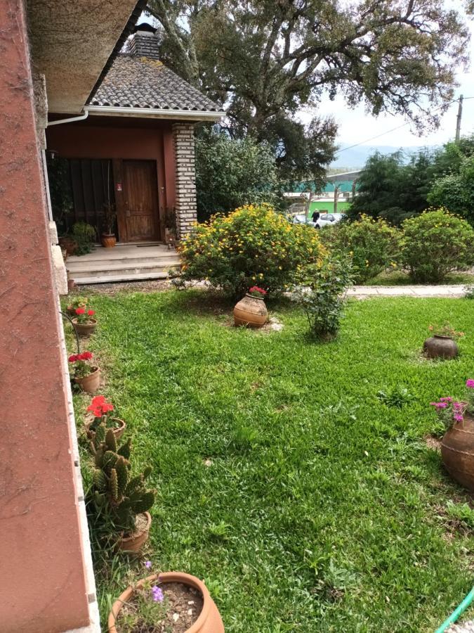 Apartament Vivenda Do Sobreiro Al Serpins Zewnętrze zdjęcie